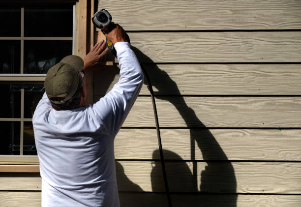 Best Custom Trim and Detailing for Siding  in Red Lake, AZ