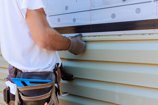 Best Vinyl Siding Installation  in Red Lake, AZ